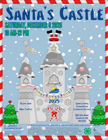 Santa's Castle